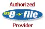 E File Provider artwork